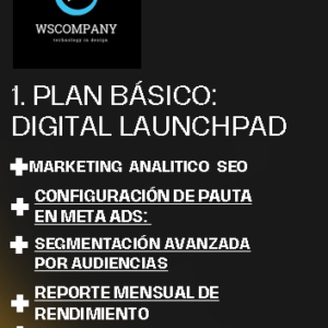 1. Plan Básico: Digital Launchpad