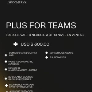 PLUS BUSINESS